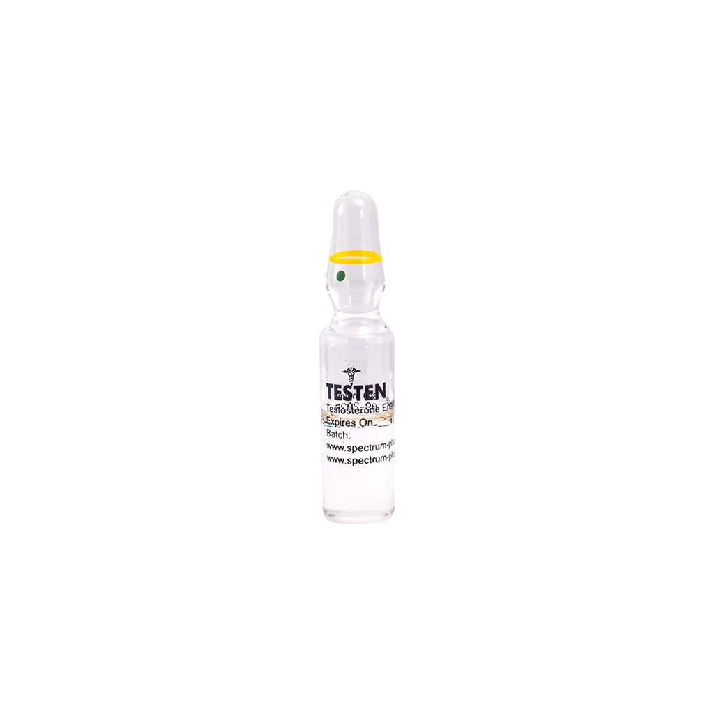 TESTEN -Testosterone Enanthate -300 MG/ML -10 X 1 ML AMPULE